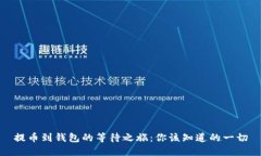 提币到钱包的等待之旅：